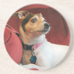 klassisch getränkeuntersetzer