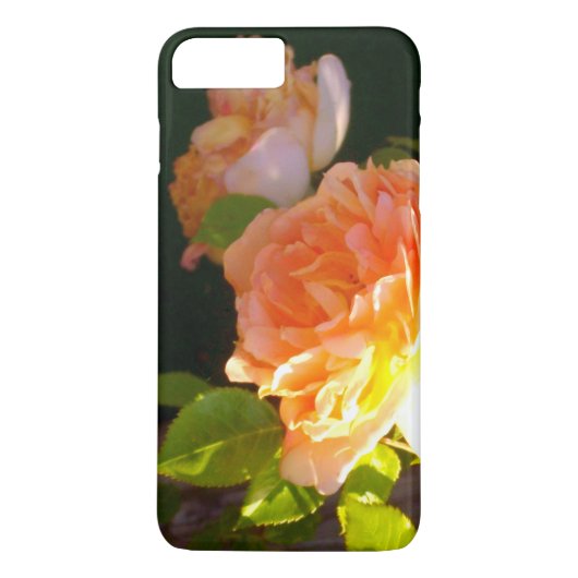 Klassisch orange pfirsichfarbene Rose Case-Mate iPhone Hülle (Rückseite)