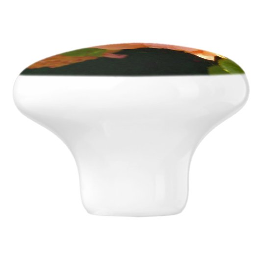 Klassisch orange pfirsichfarbene Rose Keramikknauf (Seitenansicht)