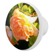 Klassisch orange pfirsichfarbene Rose Keramikknauf (Rechts)