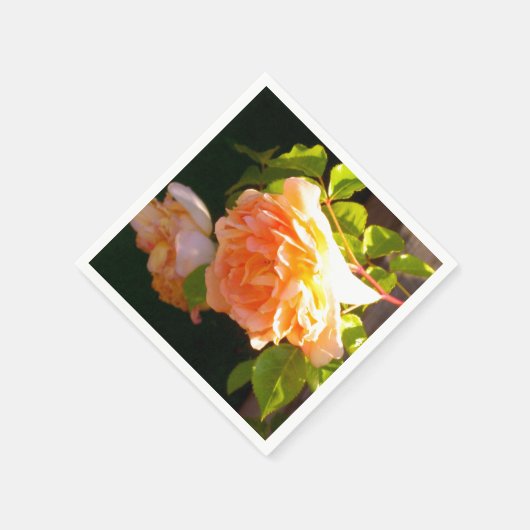 Klassisch orange pfirsichfarbene Rose Serviette (Ecke)