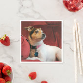 klassisch serviette (Beispiel)