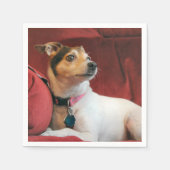 klassisch serviette (Vorderseite)