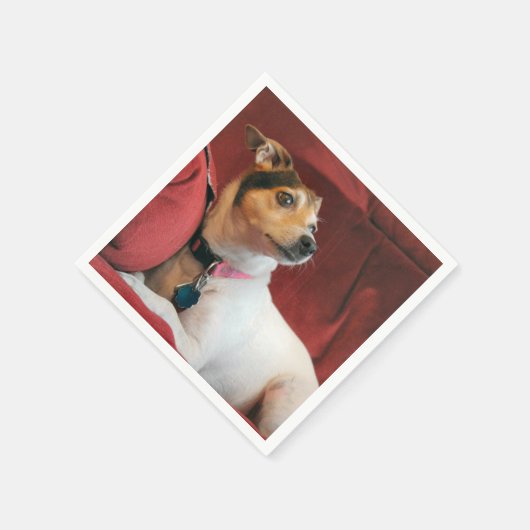 klassisch serviette (Ecke)