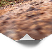 Klassische Autos mit der besten Aussicht Berühmte  Poster (Ecke)