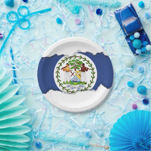 Klassische Belize-Flagge Pappteller (Party)