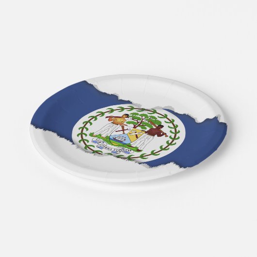 Klassische Belize-Flagge Pappteller (Schrägansicht)