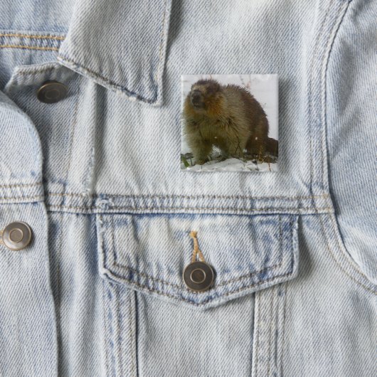 Klassische Biber-quadratisches Button (Beispiel)