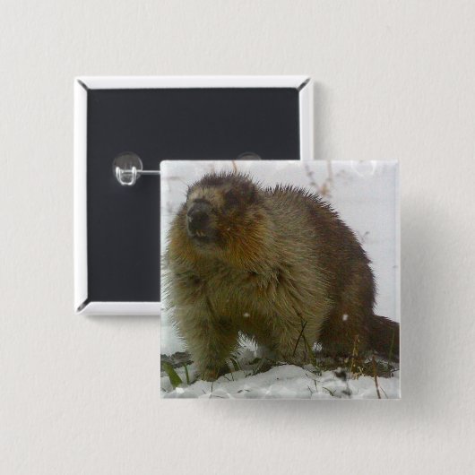 Klassische Biber-quadratisches Button (Vorne & Hinten)
