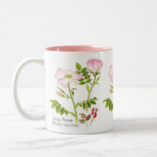 Klassische BlumenTasse - HundeRose Zweifarbige Tasse