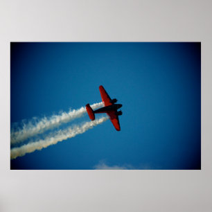 Klassische Buche 18 Luftfahrzeuge Poster