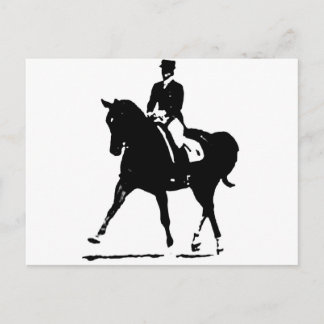 Klassische Dressur 7 Postkarte