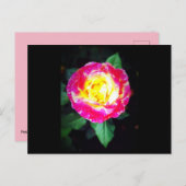 Klassische dynamische Rose Postkarte (Vorne/Hinten)
