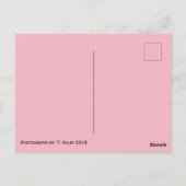 Klassische dynamische Rose Postkarte (Rückseite)
