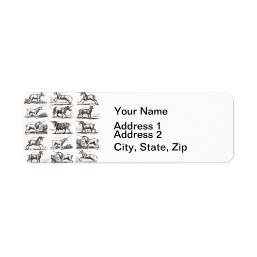 Klassische Einhorn Antike Mythische Magische Kreat (Vorne)