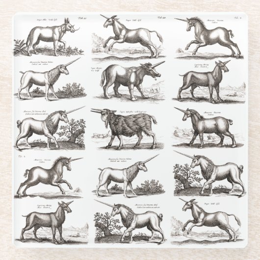 Klassische Einhorn Antike Mythische Magische Kreat Glasuntersetzer (Vorderseite)