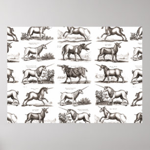 Klassische Einhorn Antike Mythische Magische Kreat Poster