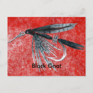 Klassische Forelle Fly Postcard "Black Gnat" Postkarte