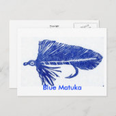 Klassische Forellenfliege Postkarte "Blue Matuka" (Vorne/Hinten)