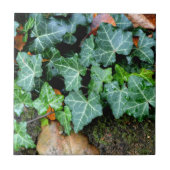 Klassische grüne Ivy und Felsstein Fliese (Vorderseite)