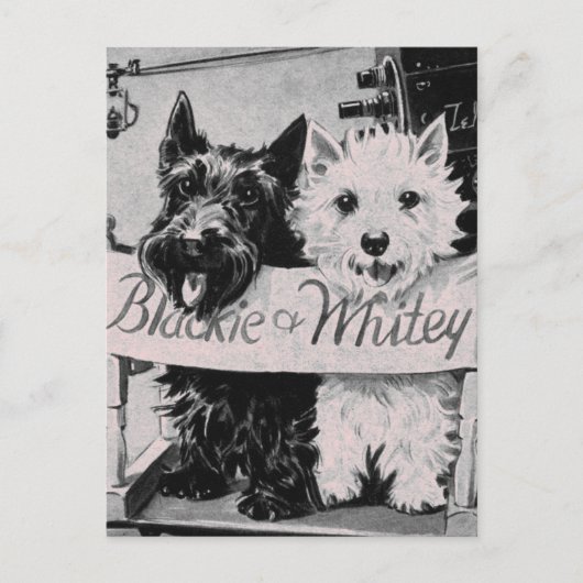 * Klassische Hübsche Poochies Rosa Postkarte * (Vorderseite)