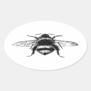 Klassische Hummel Ovaler Aufkleber