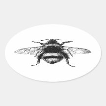 Klassische Hummelbiene