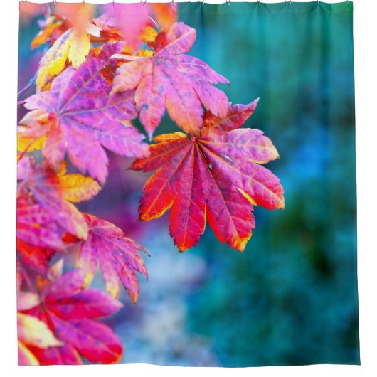 Klassische japanische Ahorn-Blätter Duschvorhang (Vorderseite)