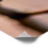 Klassische japanische Apricot-Blume Poster (Ecke)