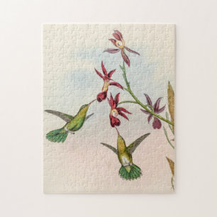 Klassische Kolibris von John Gould Puzzle