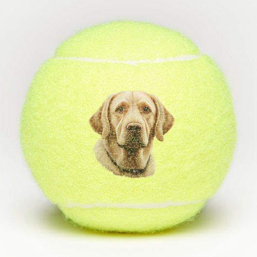 Klassische Labrador Retriever Illustration Tennisbälle (Vorderseite)
