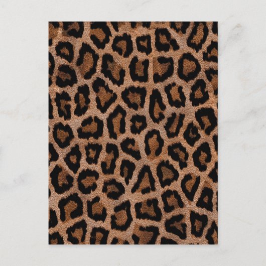 Klassische Leopard-Musterschrift Postkarte (Vorderseite)