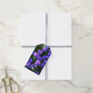 Klassische Lila Hydrangea-Geschenkmarke Geschenkanhänger