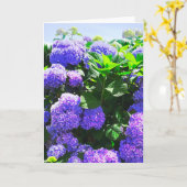 Klassische Lila Hydrangea Grußkarte Karte (Gelbe Blume)