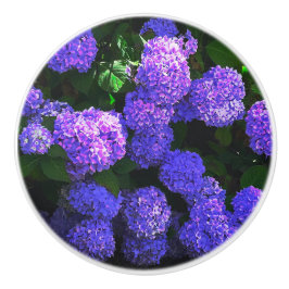 Klassische Lila Hydrangea-Keramik Pull Keramikknauf