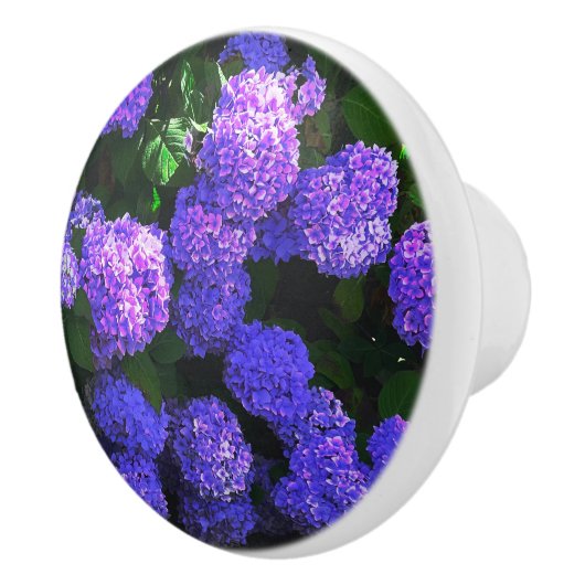 Klassische Lila Hydrangea-Keramik Pull Keramikknauf (Rechts)