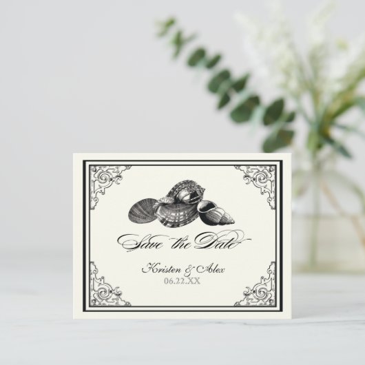 Klassische Muscheln Schwarzer Creme Save the Date  Ankündigungspostkarte (Stehend Vorderseite)