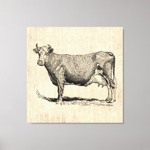 Klassische Old Fashioned Kuh Kunst Leinwanddruck