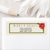 Klassische Poinsettia Einfache Moderne Küche Weihn (Insitu)