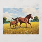 Klassische Postkarte (Vorderseite)