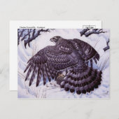 Klassische Postkarte (Vorne/Hinten)