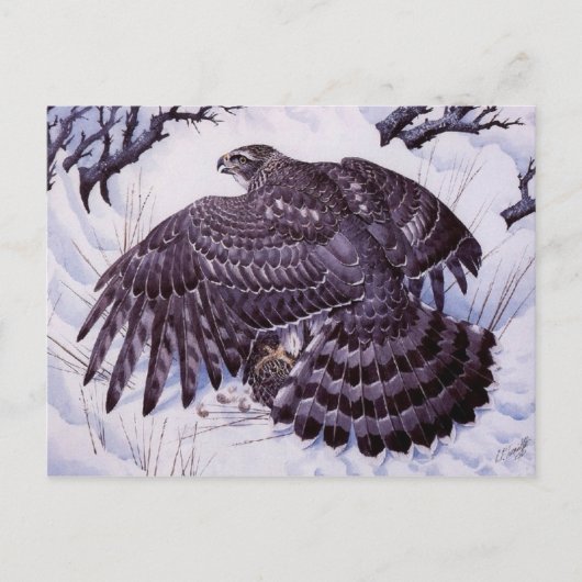 Klassische Postkarte (Vorderseite)