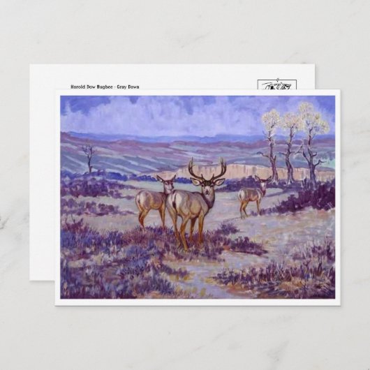 Klassische Postkarte (Vorne/Hinten)