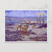 Klassische Postkarte (Vorderseite)