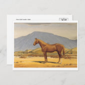 Klassische Postkarte (Vorne/Hinten)