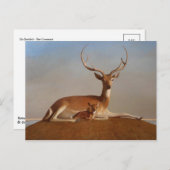 Klassische Postkarte (Vorne/Hinten)