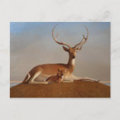 Klassische Postkarte (Vorderseite)