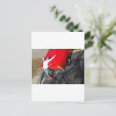 Klassische Quecksilberartikel Postkarte (Stehend Vorderseite)