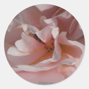 Klassische Rosa-Hochzeit-Umschlag Aufkleber