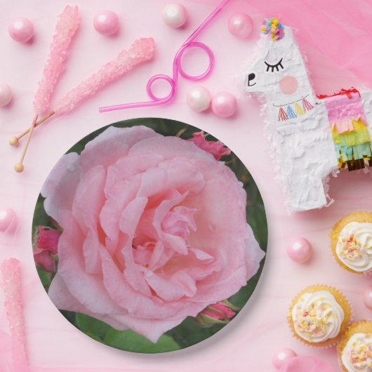 Klassische Rosa Pappteller (Party)